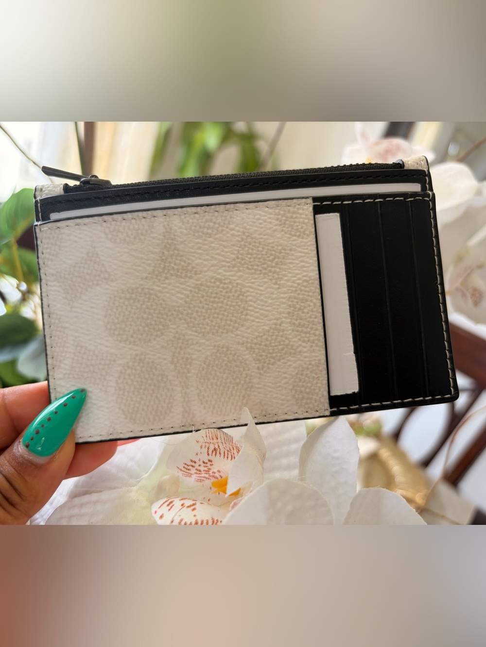 Coach white Zip Card Case-NWT - Picture 5 of 12